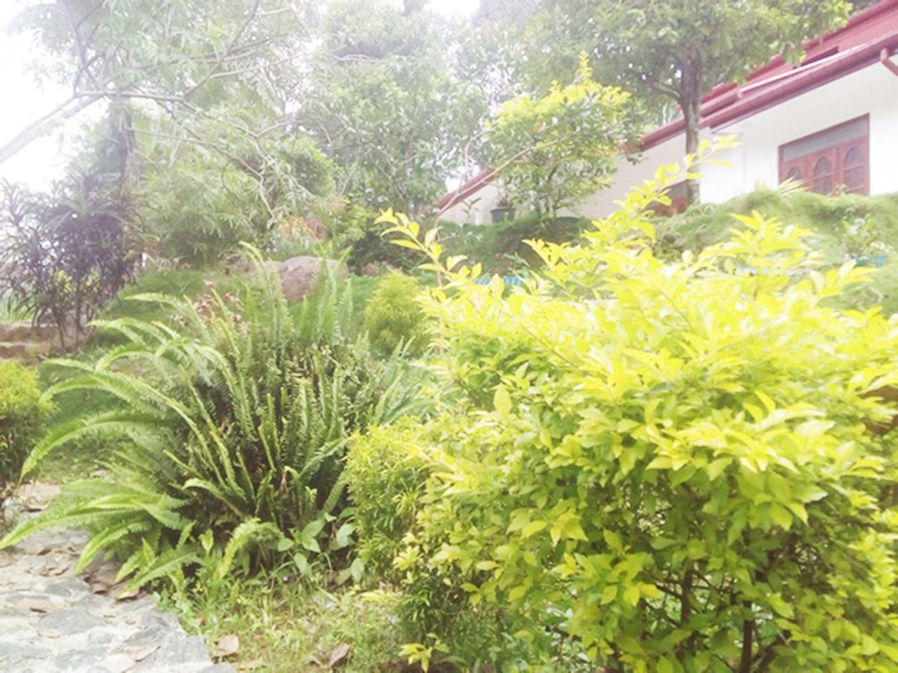 Ella Gate Resort Kumbalwela Dış mekan fotoğraf